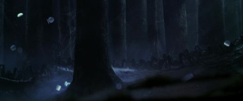 CS-Potterish_07465.jpg