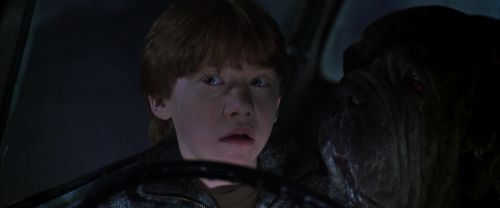 Click to view full size image
==============
CS-Potterish_07466.jpg CS-Potterish_07466.jpg