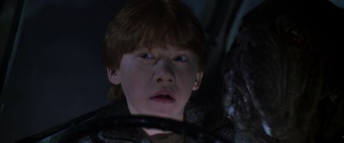 CS-Potterish_07467.jpg