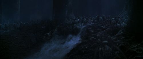 CS-Potterish_07472.jpg