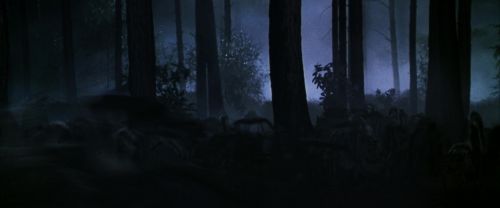 CS-Potterish_07493.jpg