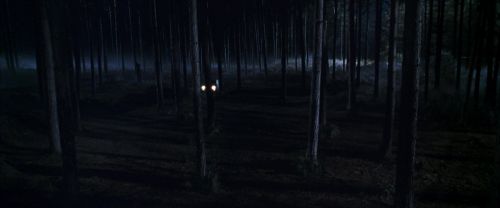 Click to view full size image
==============
CS-Potterish_07494.jpg CS-Potterish_07494.jpg