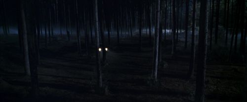 Click to view full size image
==============
CS-Potterish_07495.jpg CS-Potterish_07495.jpg
