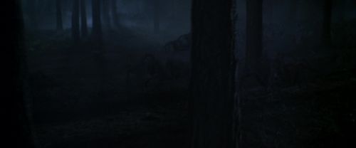 CS-Potterish_07505.jpg