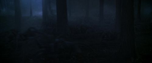 Click to view full size image
==============
CS-Potterish_07506.jpg CS-Potterish_07506.jpg