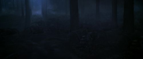 CS-Potterish_07507.jpg