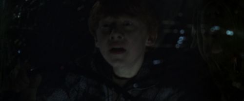 CS-Potterish_07511.jpg