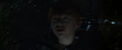 CS-Potterish_07512.jpg