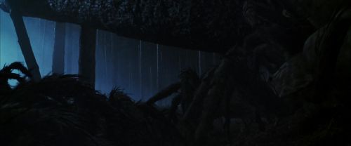 Click to view full size image
==============
CS-Potterish_07513.jpg CS-Potterish_07513.jpg
