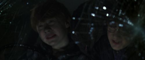 CS-Potterish_07528.jpg