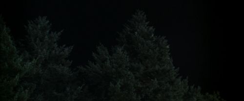Click to view full size image
==============
CS-Potterish_07539.jpg CS-Potterish_07539.jpg
