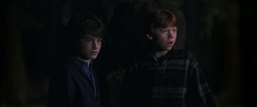 CS-Potterish_07569.jpg