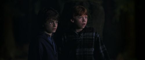 Click to view full size image
==============
CS-Potterish_07570.jpg CS-Potterish_07570.jpg