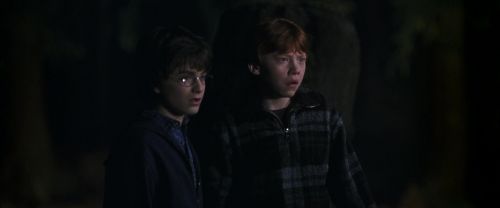 Click to view full size image
==============
CS-Potterish_07571.jpg CS-Potterish_07571.jpg