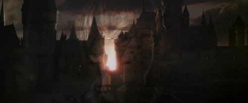 CS-Potterish_07596.jpg