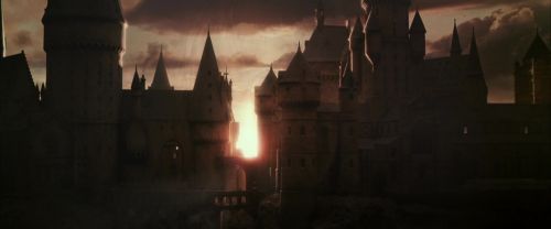 CS-Potterish_07597.jpg