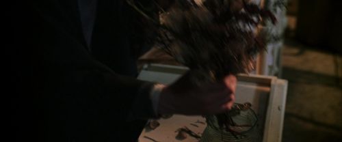 CS-Potterish_07604.jpg
