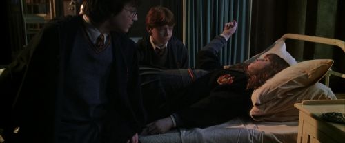 CS-Potterish_07610.jpg