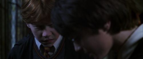 CS-Potterish_07669.jpg