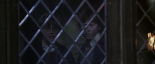 CS-Potterish_07703.jpg