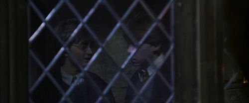 CS-Potterish_07704.jpg