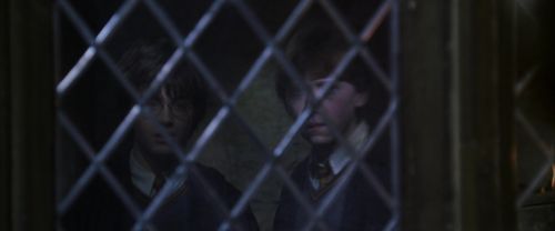 Click to view full size image
==============
CS-Potterish_07706.jpg CS-Potterish_07706.jpg