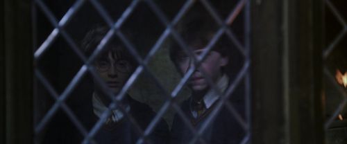 CS-Potterish_07707.jpg