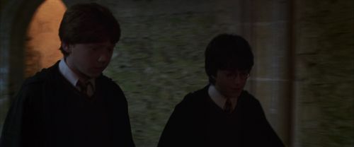 CS-Potterish_07719.jpg