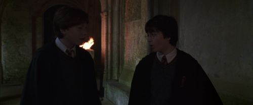 CS-Potterish_07726.jpg