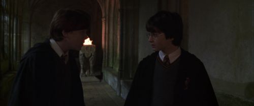 Click to view full size image
==============
CS-Potterish_07729.jpg CS-Potterish_07729.jpg
