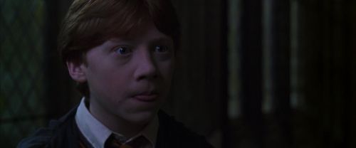 CS-Potterish_07743.jpg