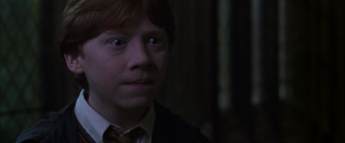 CS-Potterish_07744.jpg