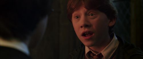 CS-Potterish_07758.jpg
