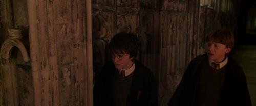CS-Potterish_07806.jpg