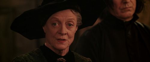 CS-Potterish_07846.jpg