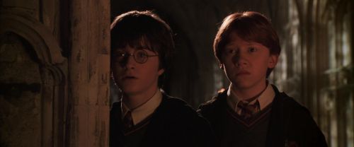 CS-Potterish_07868.jpg