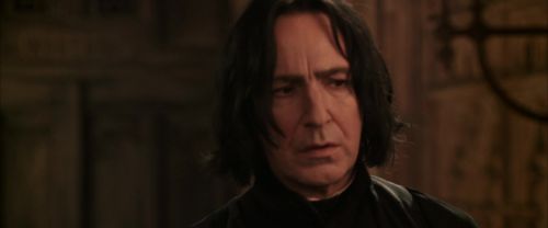 CS-Potterish_07876.jpg