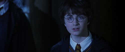 CS-Potterish_08022.jpg