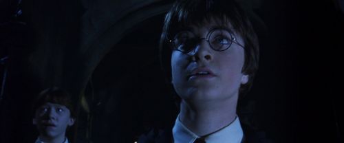 CS-Potterish_08067.jpg