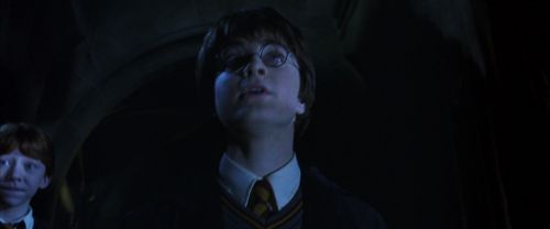 CS-Potterish_08091.jpg