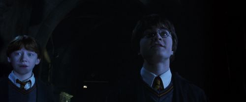 CS-Potterish_08092.jpg