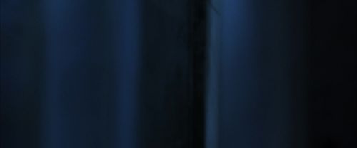 CS-Potterish_08136.jpg