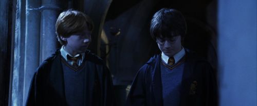 CS-Potterish_08205.jpg