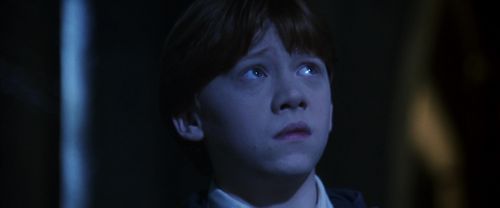 Click to view full size image
==============
CS-Potterish_08215.jpg CS-Potterish_08215.jpg