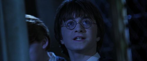 CS-Potterish_08218.jpg