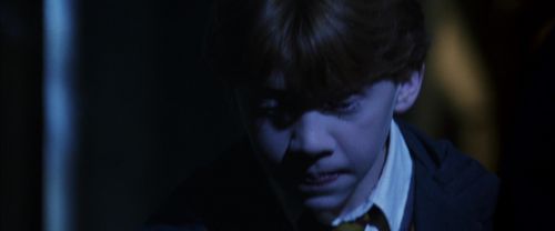 CS-Potterish_08224.jpg