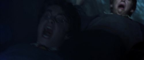 CS-Potterish_08232.jpg