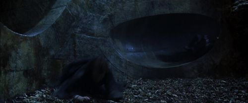 CS-Potterish_08239.jpg