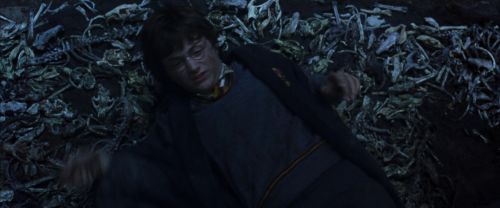 Click to view full size image
==============
CS-Potterish_08242.jpg CS-Potterish_08242.jpg