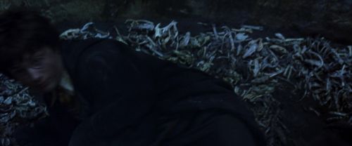 CS-Potterish_08243.jpg